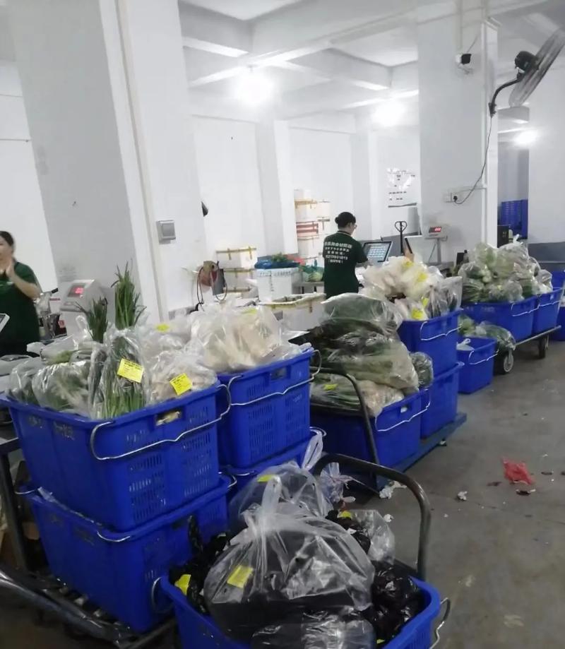 鲜创优品:引领健康饮食新潮流