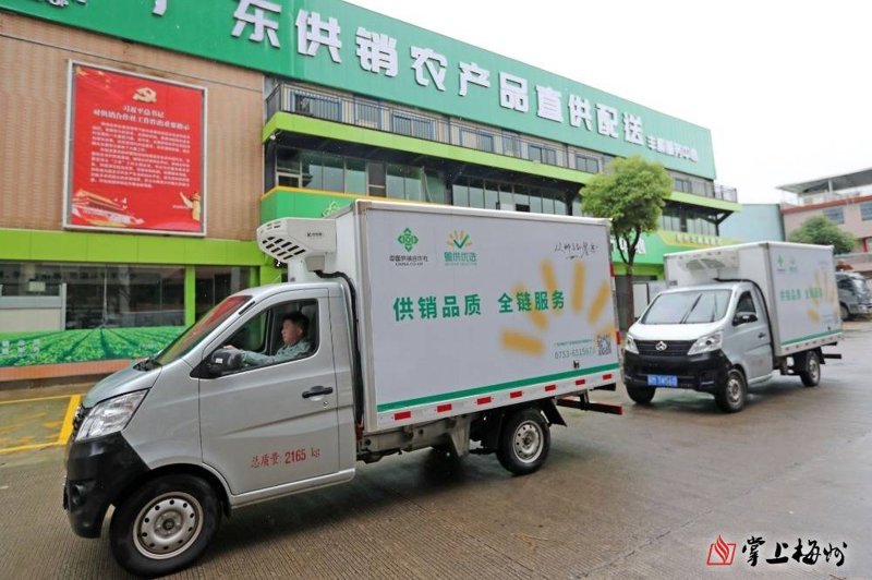 进口水果走进千家万户:一场味蕾与品质的盛宴